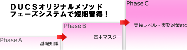 フェーズシステム図表